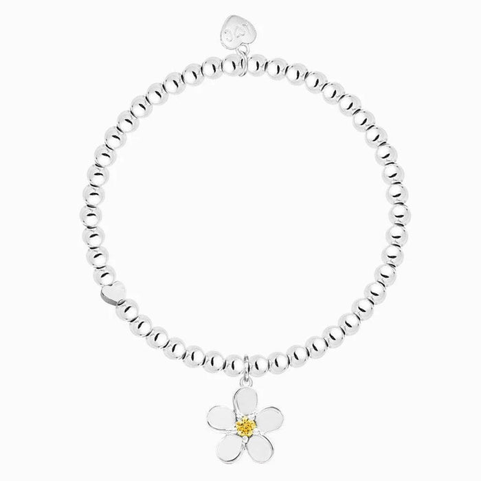 Life Charms Silver Thanks A Lot Silver Bracelet