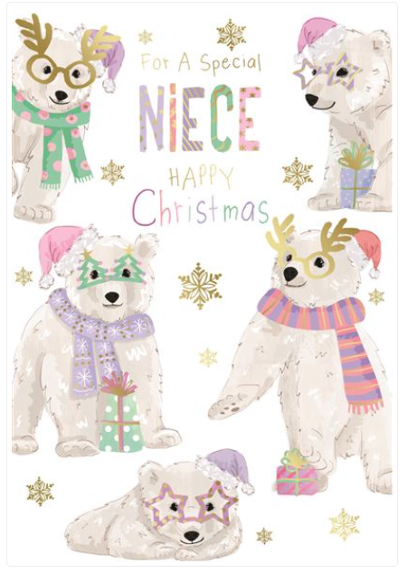 Kingfisher 'For A Special Niece' Christmas Card