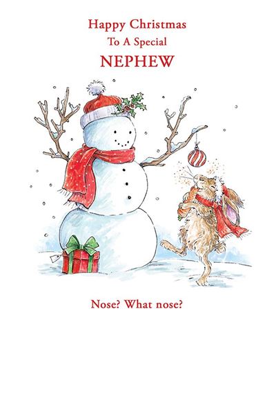Kingfisher 'Happy Christmas To For A Special Nephew' Christmas Card