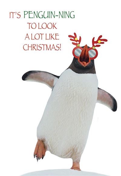 Kingfisher 'It's Penguin-ing To Look A Lot Like Christmas' Christmas Card
