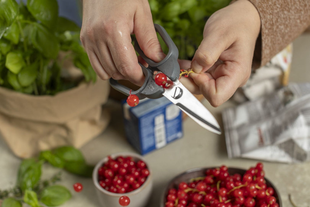 Kuhn Rikon Kitchen Shears Compact