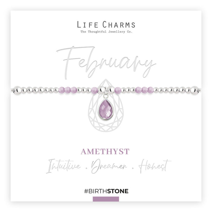 Life Charms Silver Birthstone February Bracelet