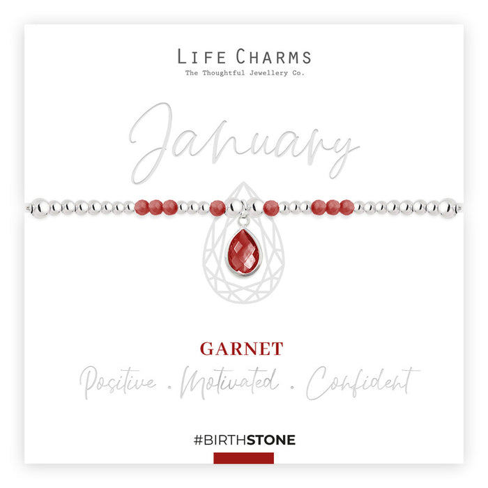 Life Charms Silver Birthstone January Bracelet