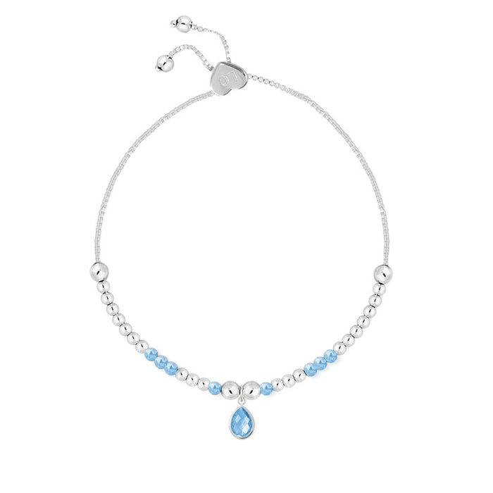 Life Charms Silver Birthstone December Bracelet