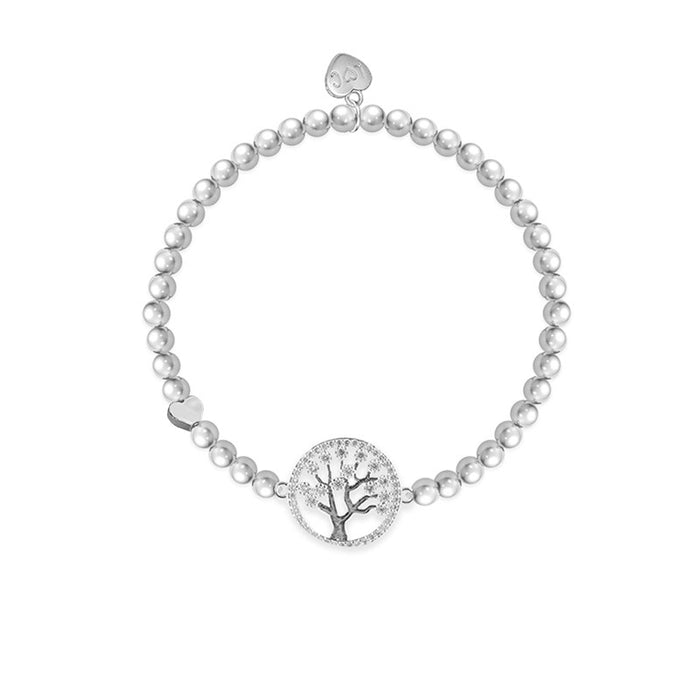 Life Charms Silver Welsh Teulu (Family) Bracelet