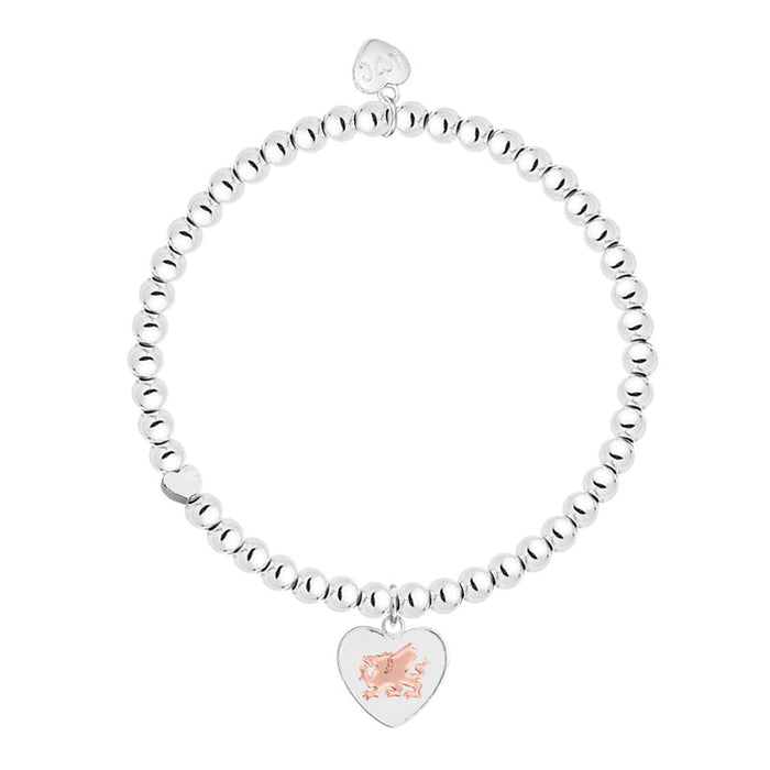 Life Charms Silver Welsh - Cymru Bracelet