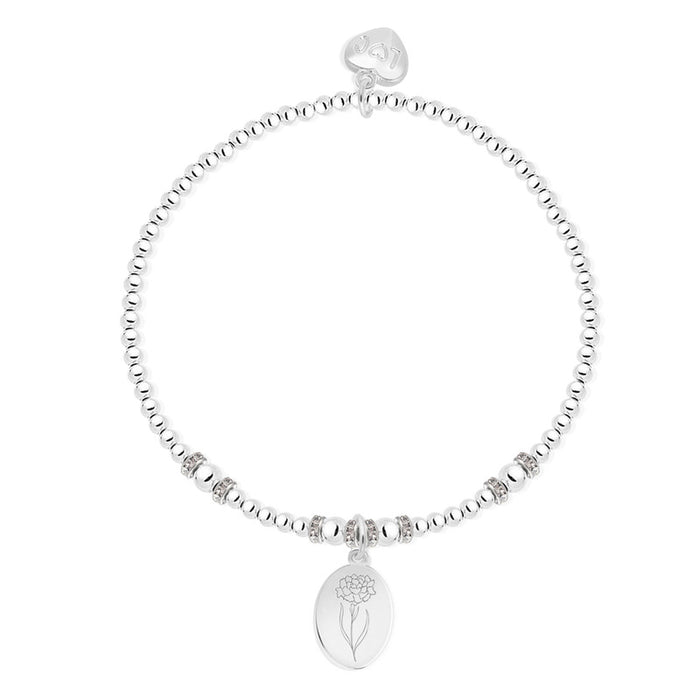 Life Charms Silver Birth Flower January Bracelet