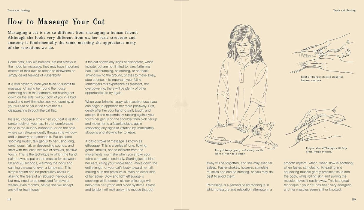 Macmillan Talk to Your Cat Book