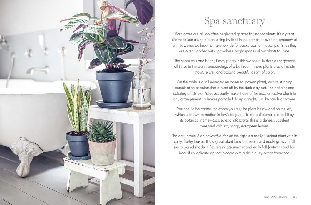 Macmillan Happy Houseplants Book