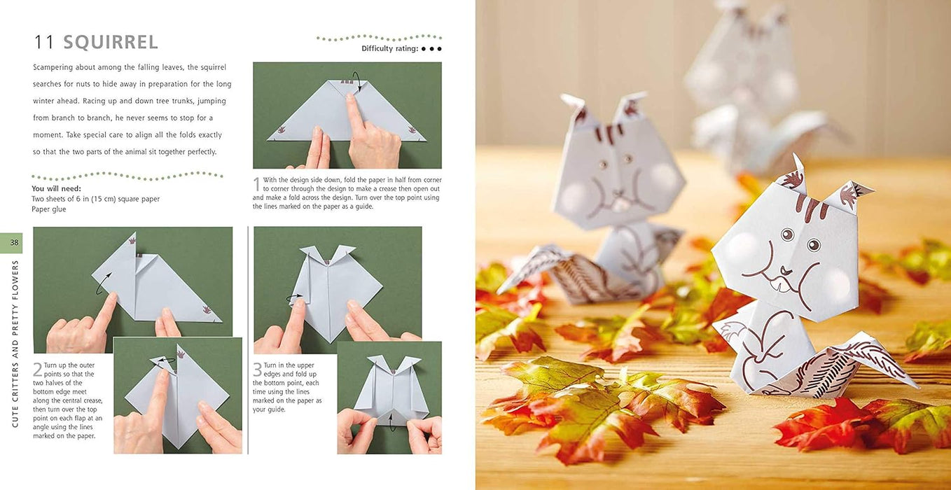 Macmillan Origami for Kids Book