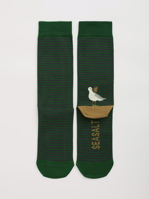 Seasalt Men's Everyday Socks In Pasty Perch Tehidy