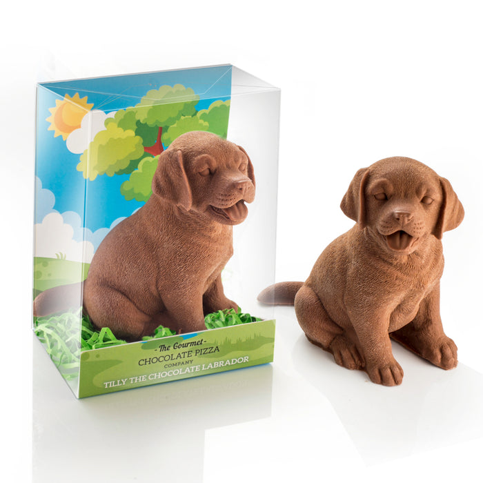 The Gourmet Chocolate Pizza Company Chocolate Labrador