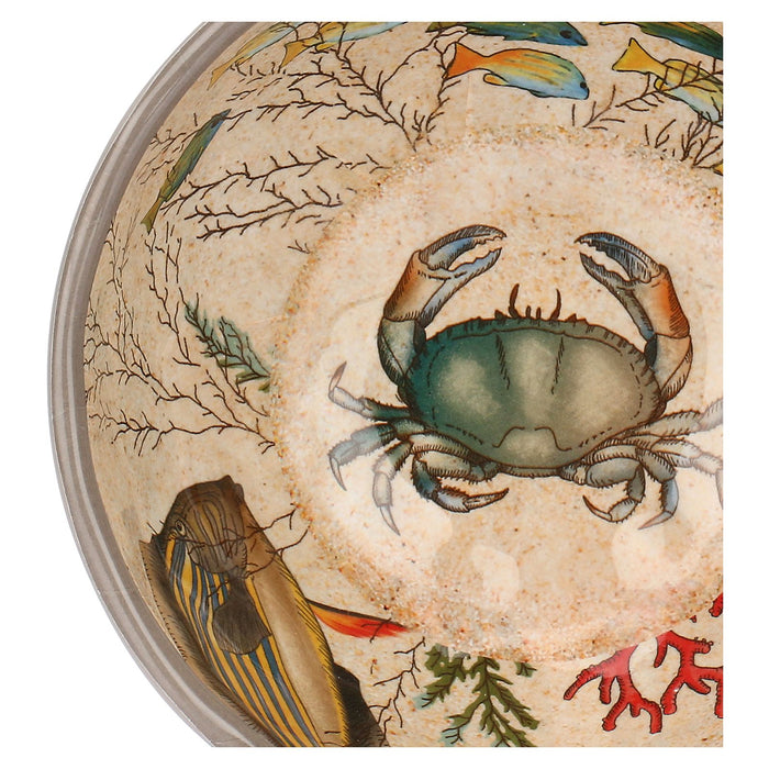 Sea Life Bowl 15cm