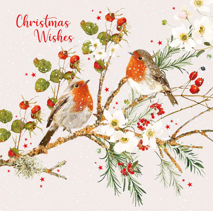 Nigel Quiney 'Robin And Roses' Box Of 6 Christmas Cards