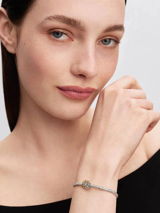 Pandora Constellation Openwork Charm Sterling Silver And 14k Gold Plating