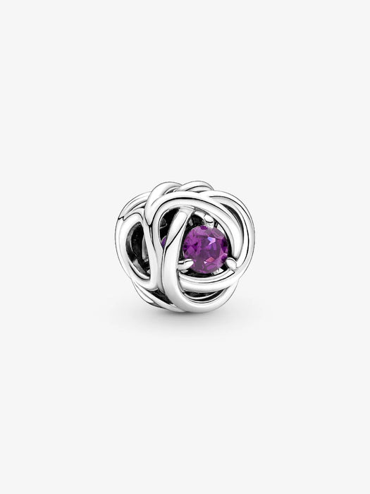 Pandora February Birthstone Eternity Circle Charm