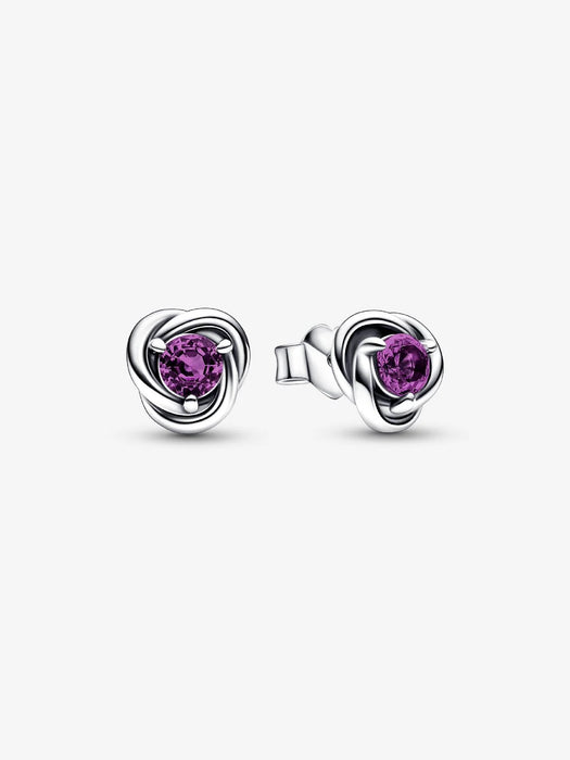 Pandora February Birthstone Eternity Circle Stud Earrings Sterling Silver