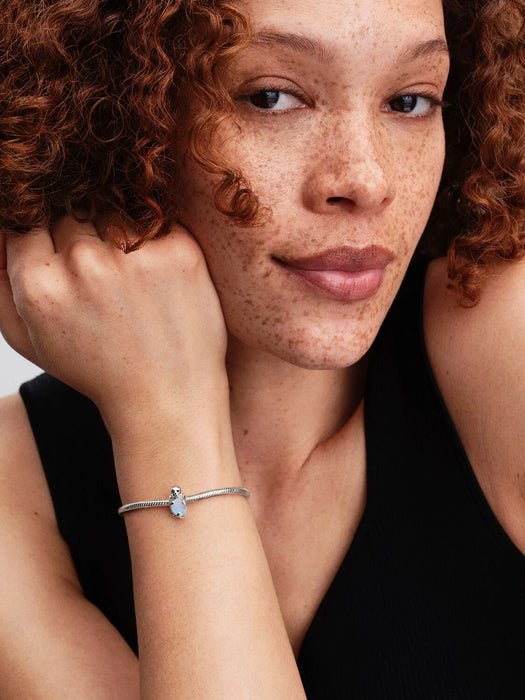 Pandora Seal Charm Sterling Silver