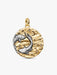 A gold and silver Pisces zodiac pendant featuring two fish, a crescent moon, and stars, displayed on a light gray background.