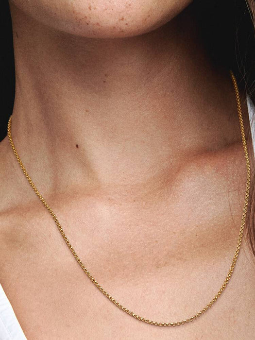 Pandora Rolo Chain Necklace 14k Gold Plating