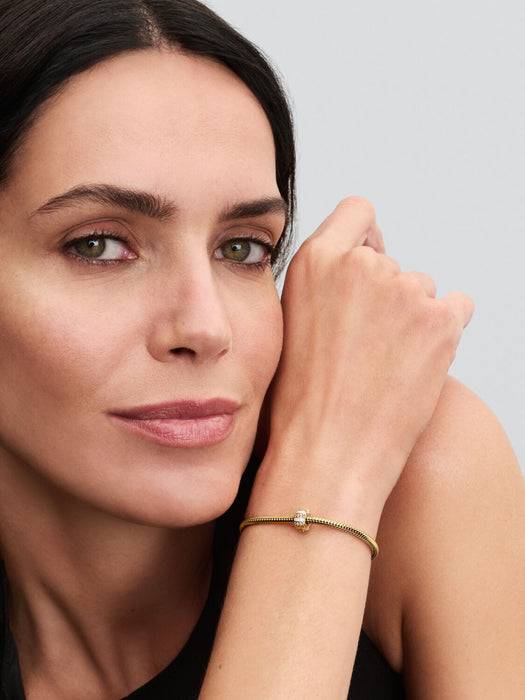 Pandora Stones & Enamel Clip Gold Charm