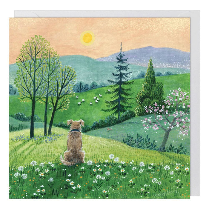 Paperlink Skylark 'Dog's View' Everyday Card