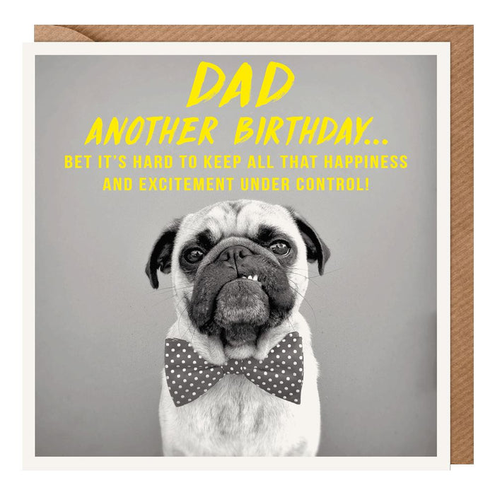 Paperlink Pixel 'Dad Birthday' Birthday Card