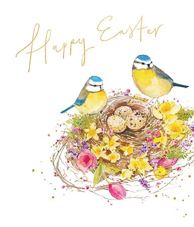 Paperlink 'Birds And Nest' Easter Card