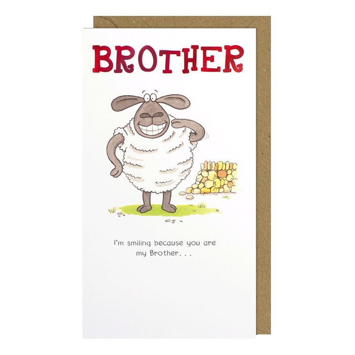 Paperlink Funny Farm 'Brother Birthday' Birthday Card