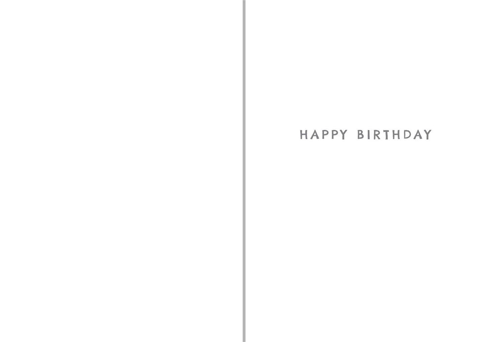 Paperlink First Chapter 'Boy 6th' Birthday Card