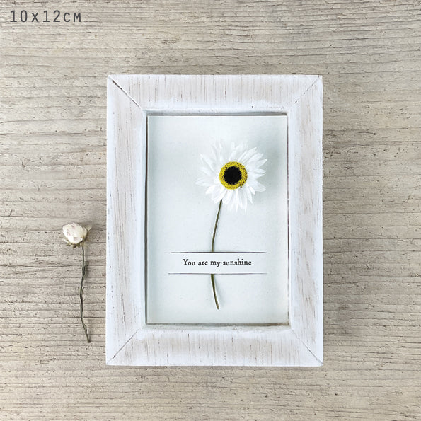 East of India Box Frame - You Are My Sunshine