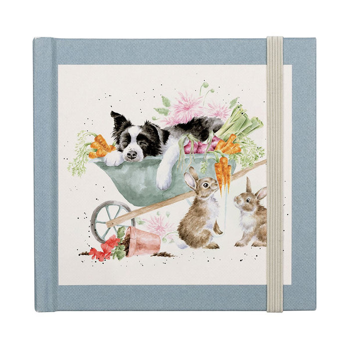 Wrendale Designs 'Sleeping On The Job' Border Collie Password Book