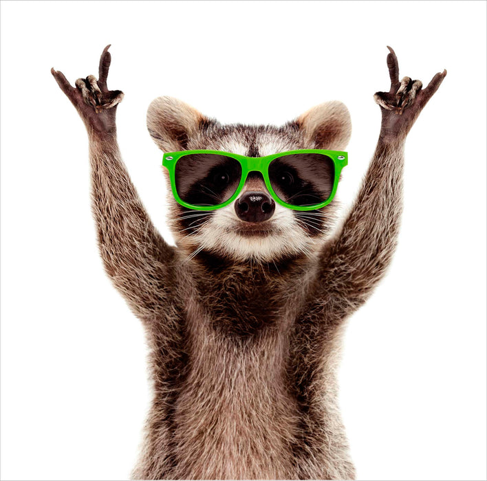 UKG Cool Racoon In Sunglasses Open Card