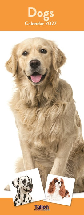 Tallon 2027 Calendar Super Slim Dogs and Puppies
