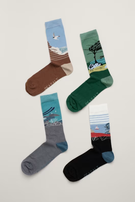 Seasalt Men's Gift Box of 4 Men's Scenic Sailor Socks In View Catcher Mix