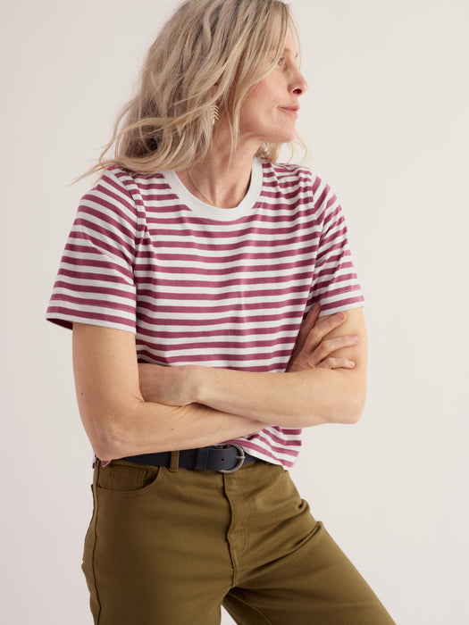 Seasalt Women's Copseland Organic Cotton T-Shirt In Mini Cornish Chalk Rosa