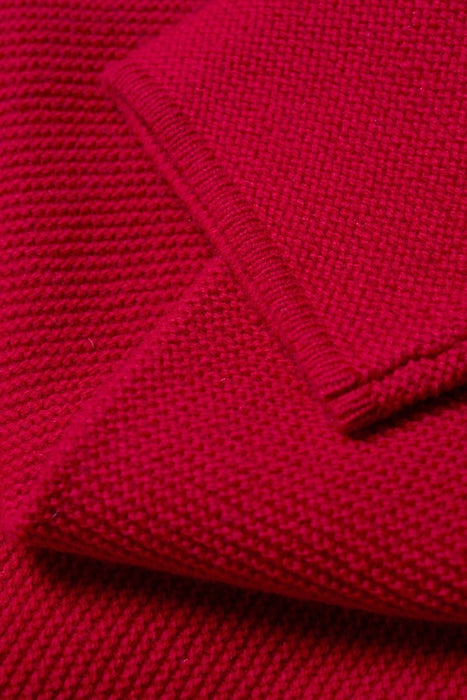 Seasalt Women's Fruity Jumper II In Carmine