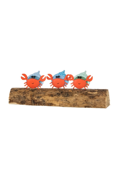 Shoeless Joe Orange Three Hermit Crabs