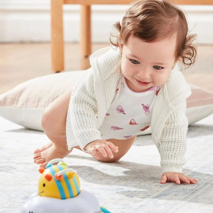 Skip Hop Explore & More 2in1 Follow Bee Crawl Toy