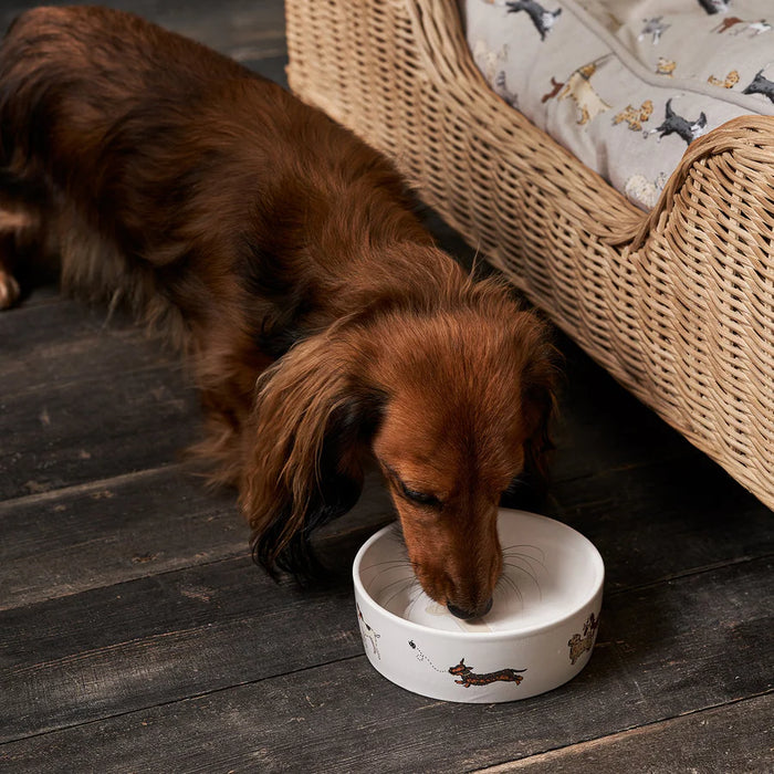 Sophie Allport Doggy Daycare Stoneware Dog Bowl