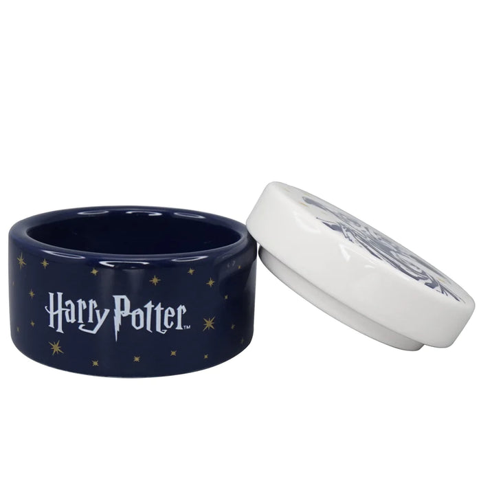 Harry Potter Dobby Is Free Round Ceramic Box