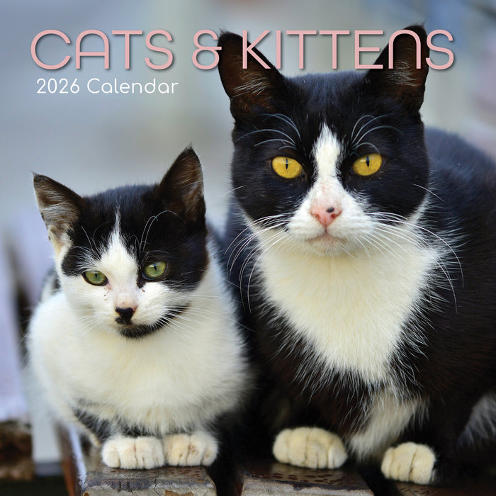 The Gifted Stationery Company 2026 Square Wall Calendar - Cats & Kittens