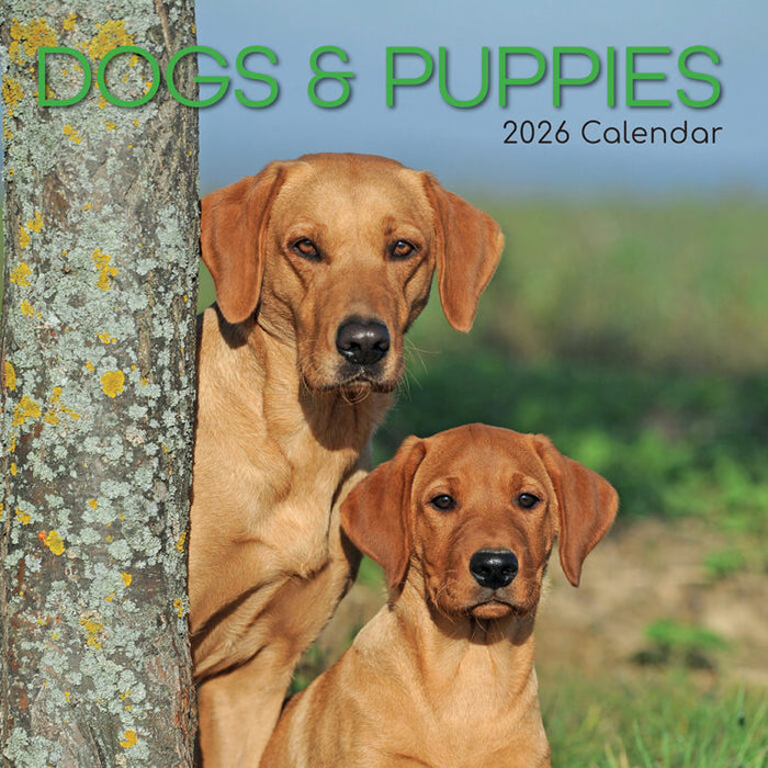 The Gifted Stationery Company 2026 Square Wall Calendar - Dogs & Puppies