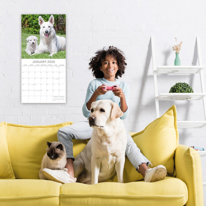 The Gifted Stationery Company 2026 Square Wall Calendar - Dogs & Puppies