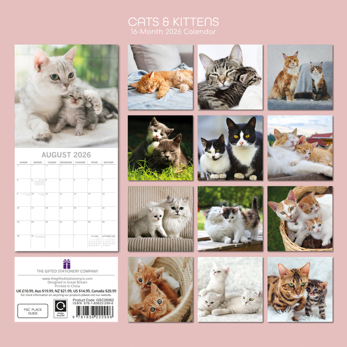 The Gifted Stationery Company 2026 Square Wall Calendar - Cats & Kittens