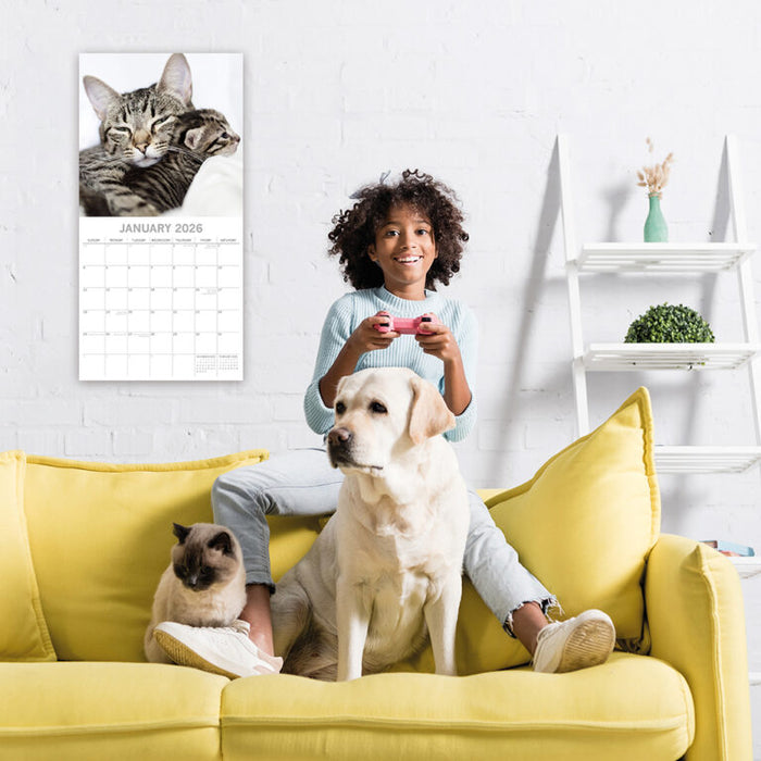 The Gifted Stationery Company 2026 Square Wall Calendar - Cats & Kittens