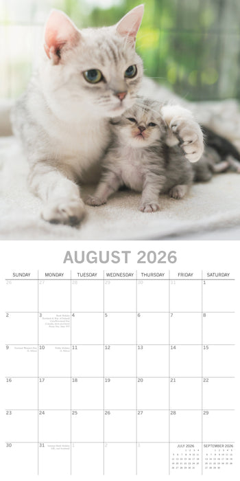 The Gifted Stationery Company 2026 Square Wall Calendar - Cats & Kittens