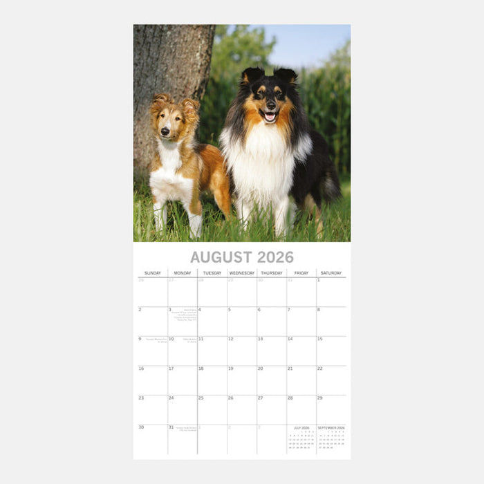 The Gifted Stationery Company 2026 Square Wall Calendar - Dogs & Puppies