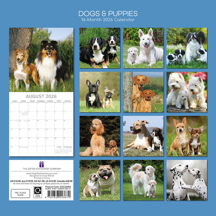 The Gifted Stationery Company 2026 Square Wall Calendar - Dogs & Puppies
