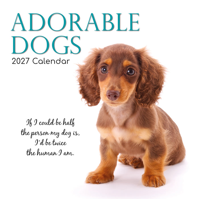 The Gifted Stationery Company 2027 Square Wall Calendar - Adorable Dogs